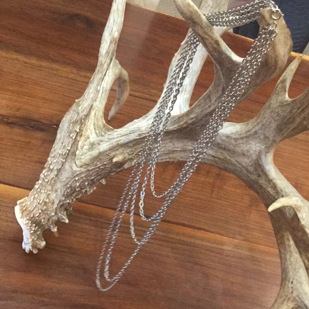 Basic Layering Necklace - image 1